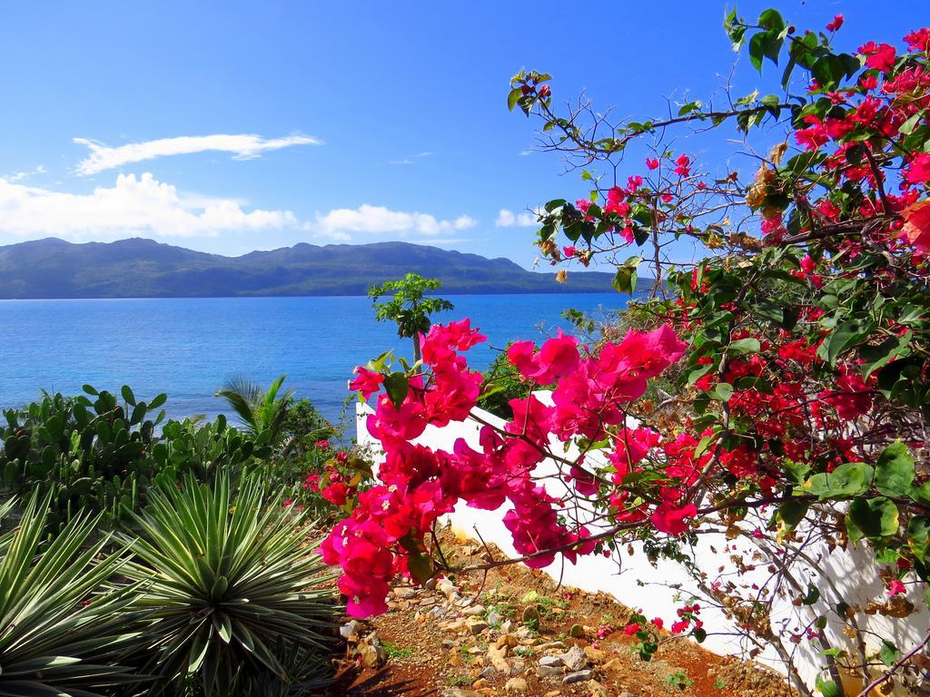 Villa Salamandra Las Galeras Exterior photo